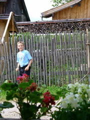 No Thumbnail available